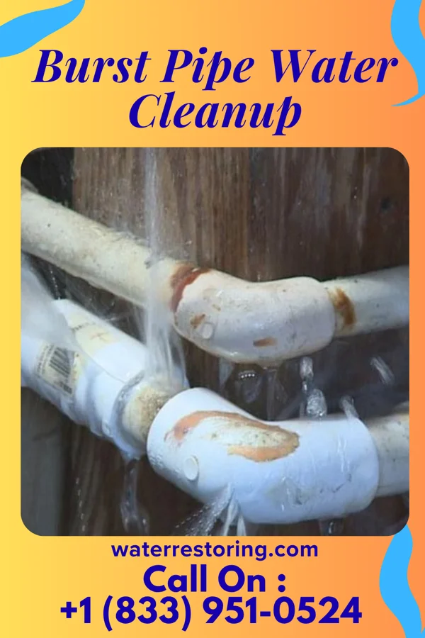 Burst Pipe Water Cleanup in Helmetta, NJ