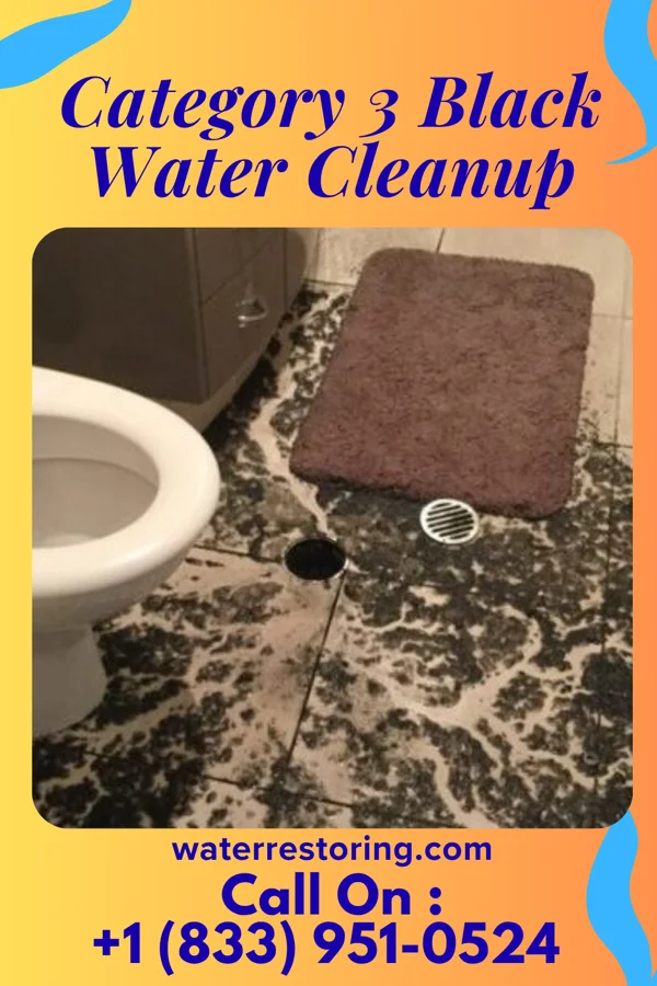 Category 3 Black Water Cleanup in Helmetta, NJ