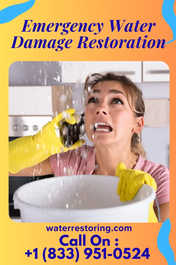 Emergency Water Damage Restoration in Helmetta, NJ