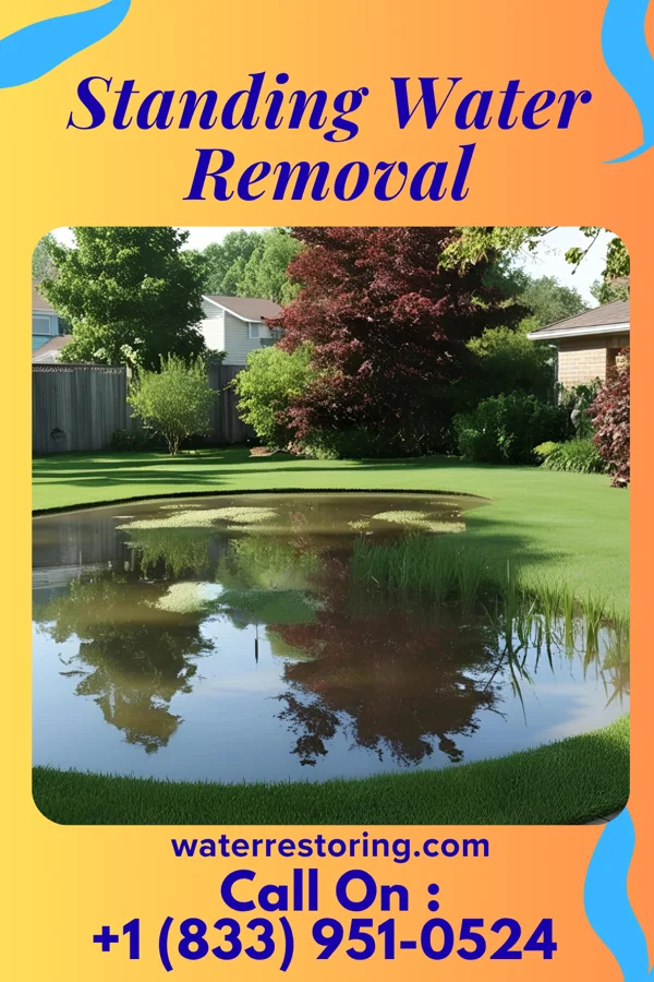 Standing Water Removal in Helmetta, NJ